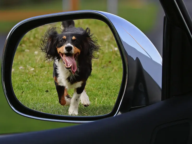 怎么挽回女友的策略：女友狠心提出分手，学会这三招挽回