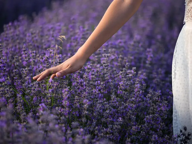 怎么挽回女友的策略：这样做，让就坚决分手的女友对你死心塌地