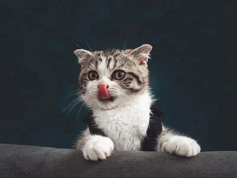 成功挽回老公的策略：学好这三招把握挽回时机，拒绝跪舔