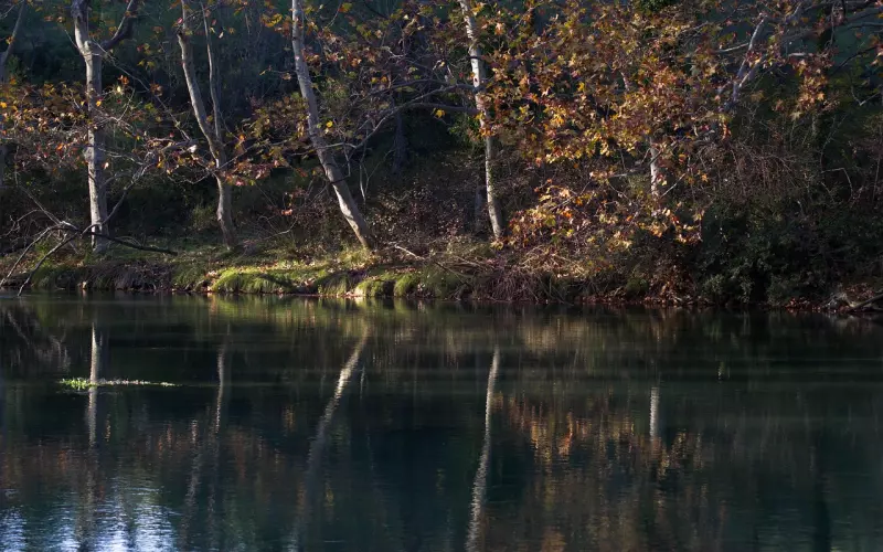 挽回天蝎男友攻略：挽回男友，做到这几点就成功80%！