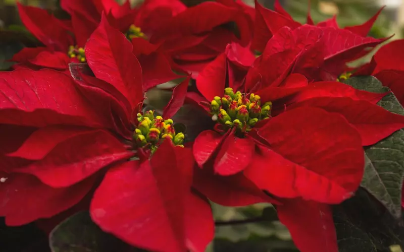 挽回男友之国庆节挽回攻略