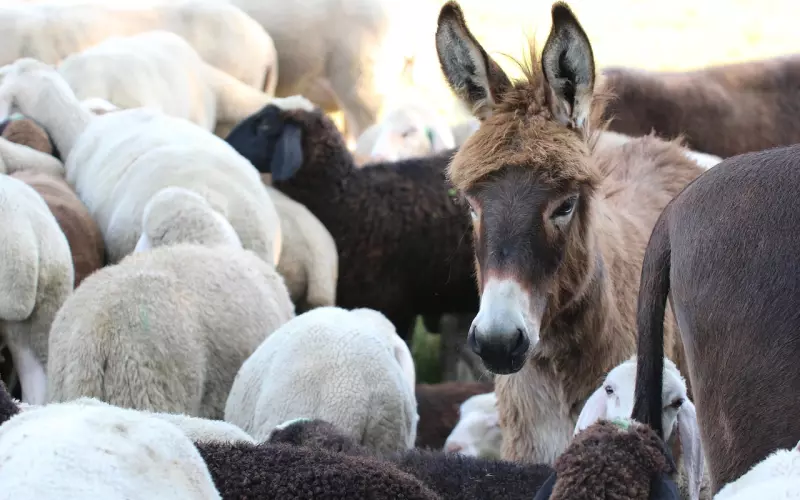 挽回女友策略：失恋了不知道怎样挽回女朋友，三个挽回爱情技巧赶紧收藏起来