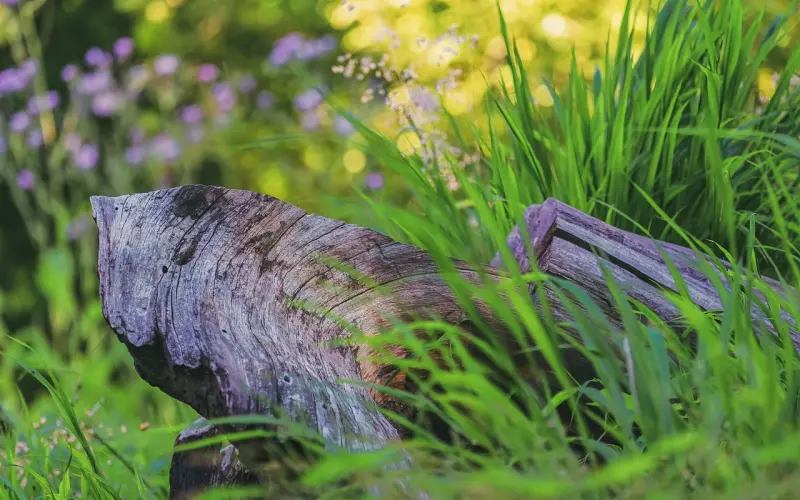 分手挽回男友攻略：挽回男友的心，死缠烂打可以挽回前男友吗