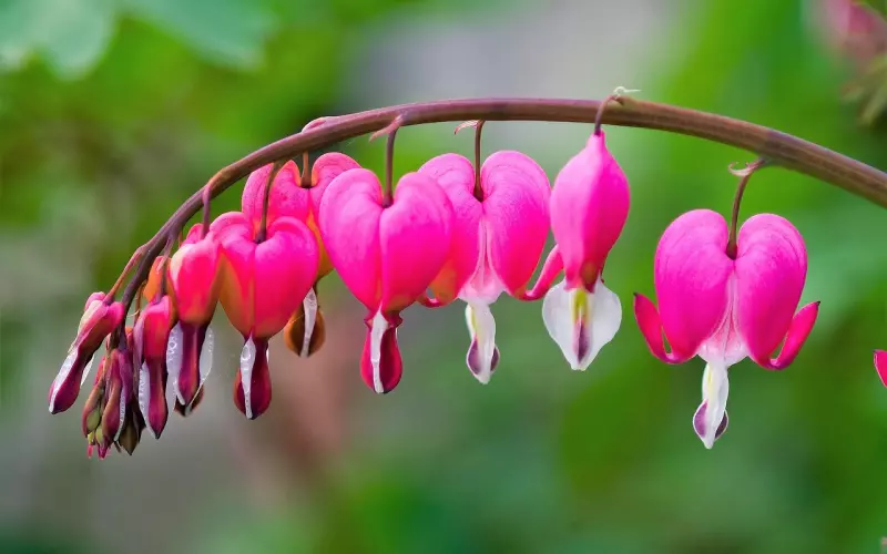 挽回老公策略：一时冲动打了老公，该怎么挽回老公受伤的心