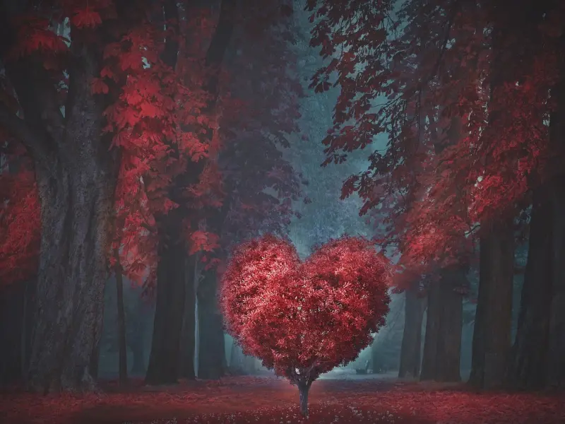 挽回女友策略：如何挽回跟女友之间的爱情，挽回女友的心，