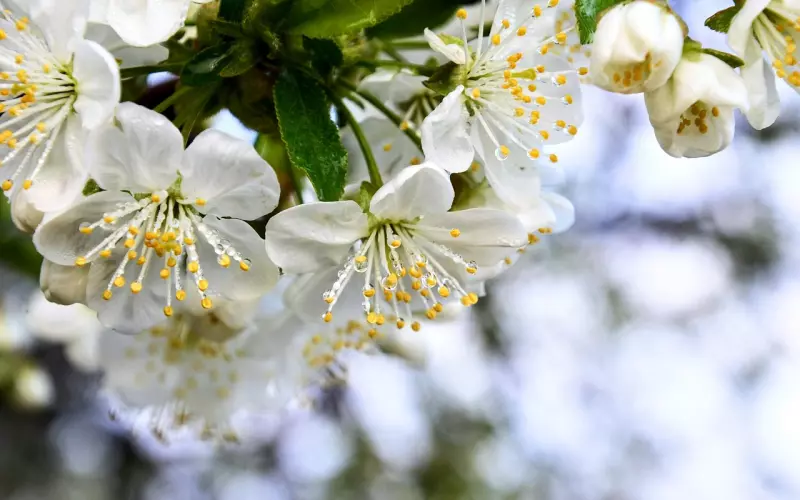 挽回前男友攻略：挽回变心的天秤男，只需要这三招就能搞定，不用花多大力气