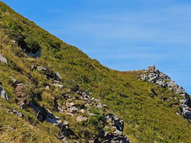 挽回男友攻略之追回摩羯座前男友