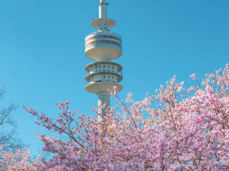 挽回男友攻略之挽回摩羯男的套路