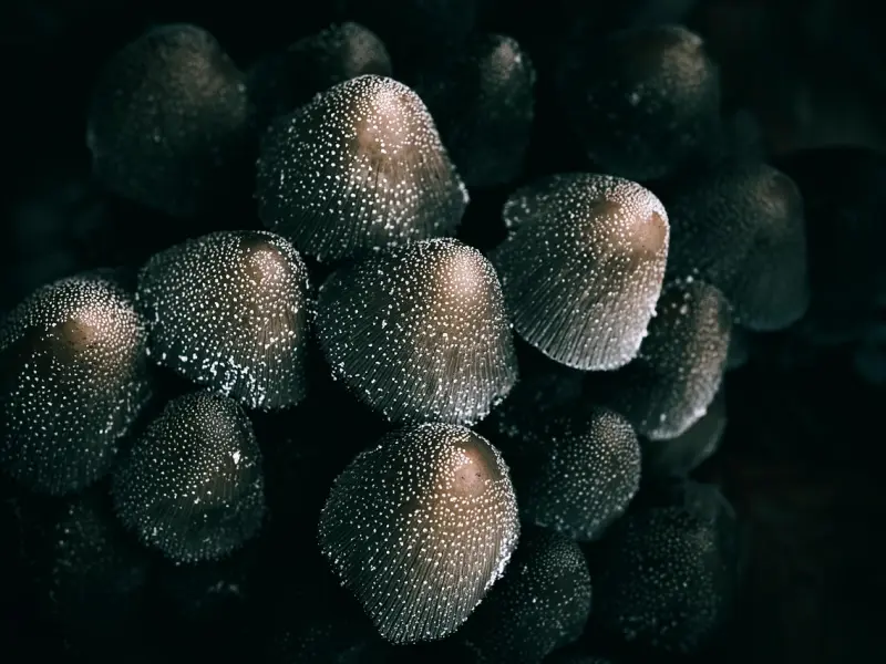 挽回男友的策略：分手后挽回男友的方法有哪些