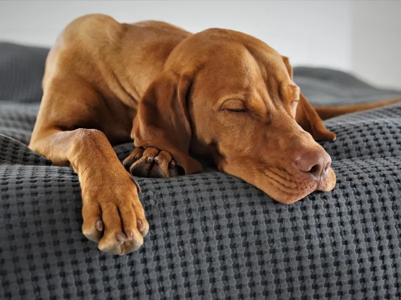 挽回男友攻略： 爱情厌倦如何挽回，究竟如何挽回男友？