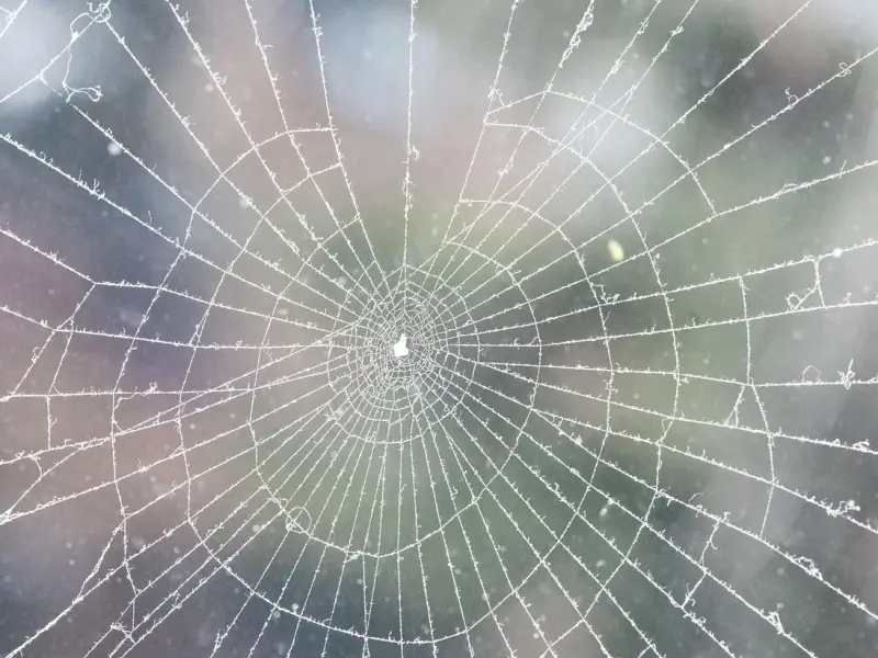 挽回男友攻略：男友突然冷淡？教你如何挽回男友的心