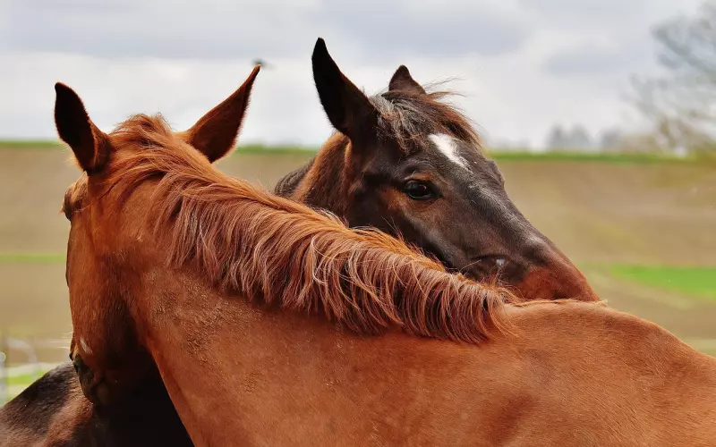 挽回男友攻略：情侣性生活不和谐怎么解决？