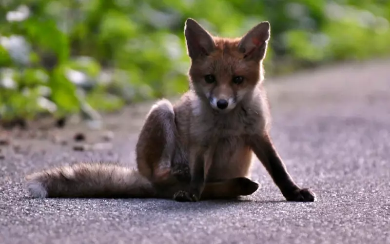 挽回女友攻略：了解她的真正需求