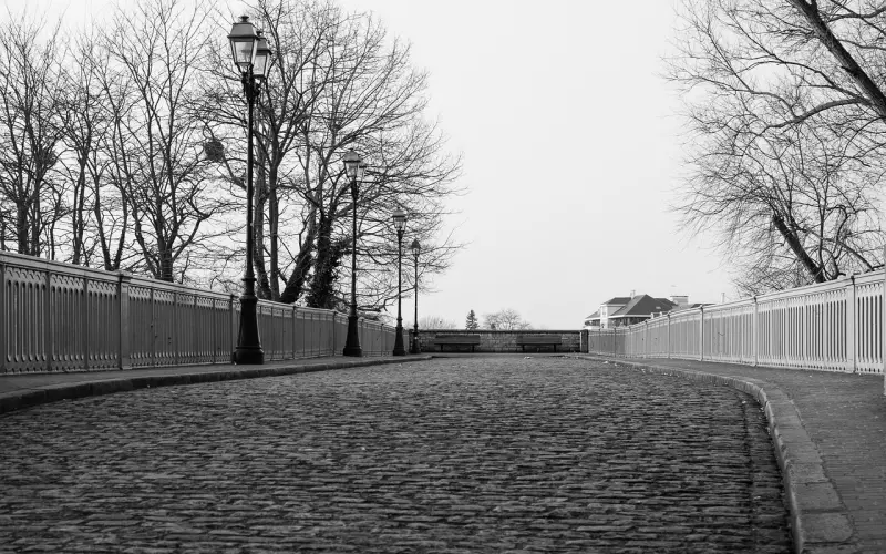 挽回前男友攻略：和狮子座分手怎么挽回