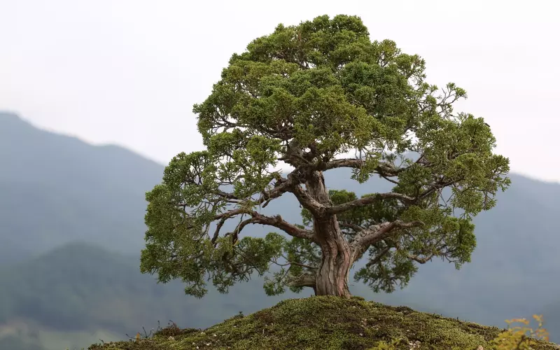 挽回前男友攻略：求复合三大禁忌