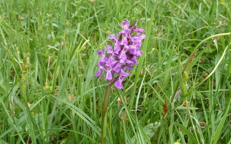 如何挽回男友攻略：如何挽回分手的射手座男友？以退为进才是上上策