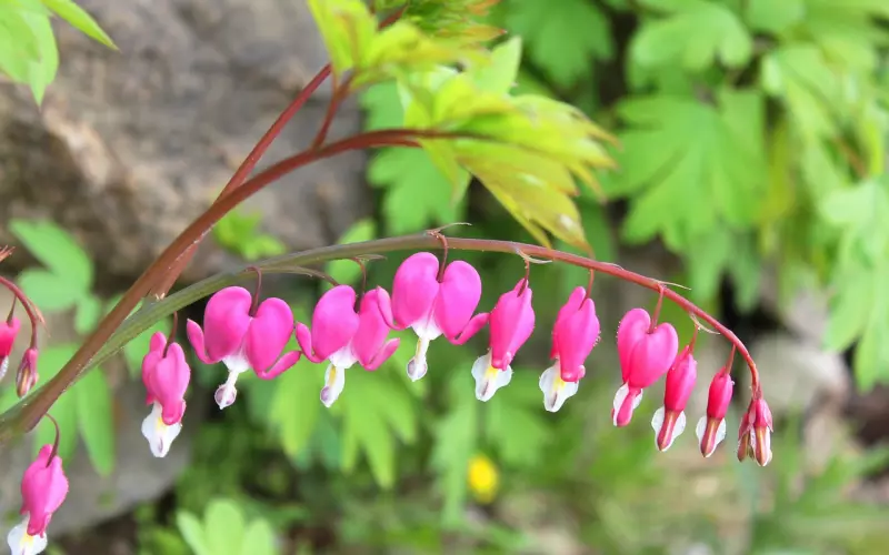 怎么挽回出轨老公攻略：男人出轨后心里变化期，挽回老公的心