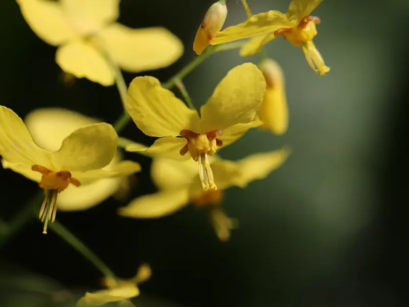 怎么挽回老公的攻略：老公被小三迷上了，该怎么挽回老公的心