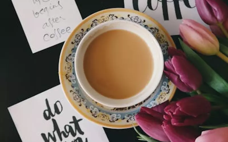 挽回爱情攻略：和前男友复联以后怎么办?