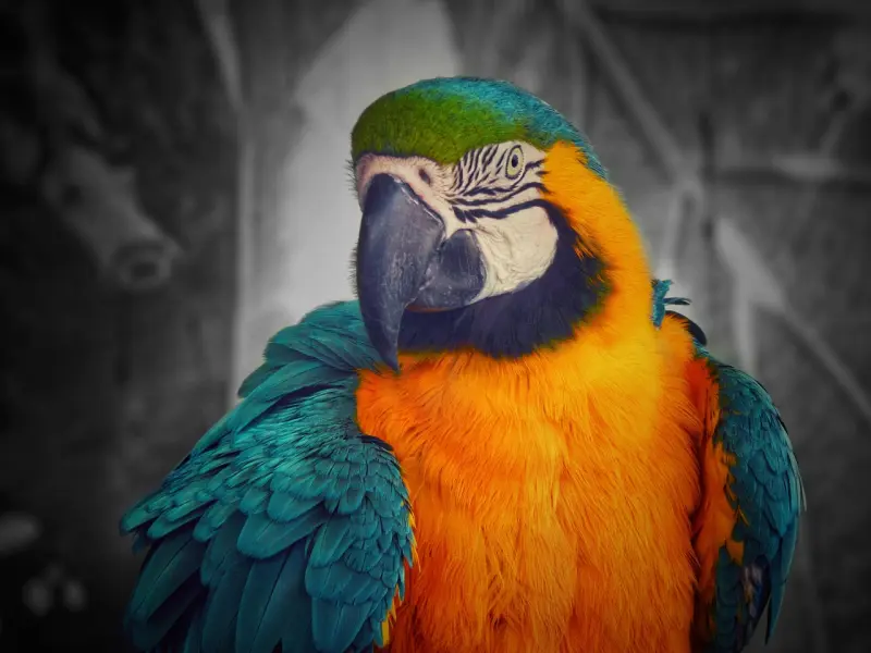 挽回女友攻略：前女友和我分手后就找到了新男友，怎么挽回？