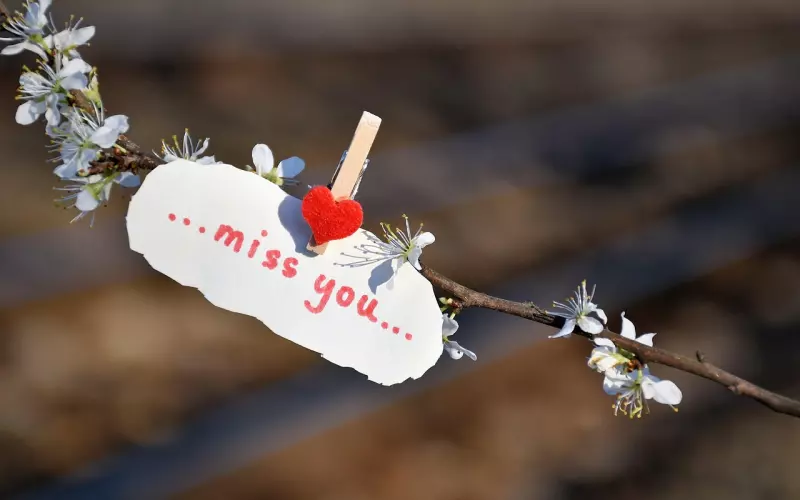 挽回男友攻略：七步挽回失去的爱情