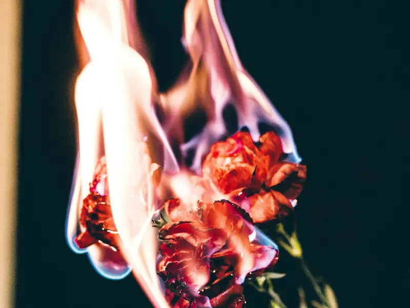 挽回女友攻略：怎样挽回女朋友？想要成功挽回爱情，就要抓好问题才行