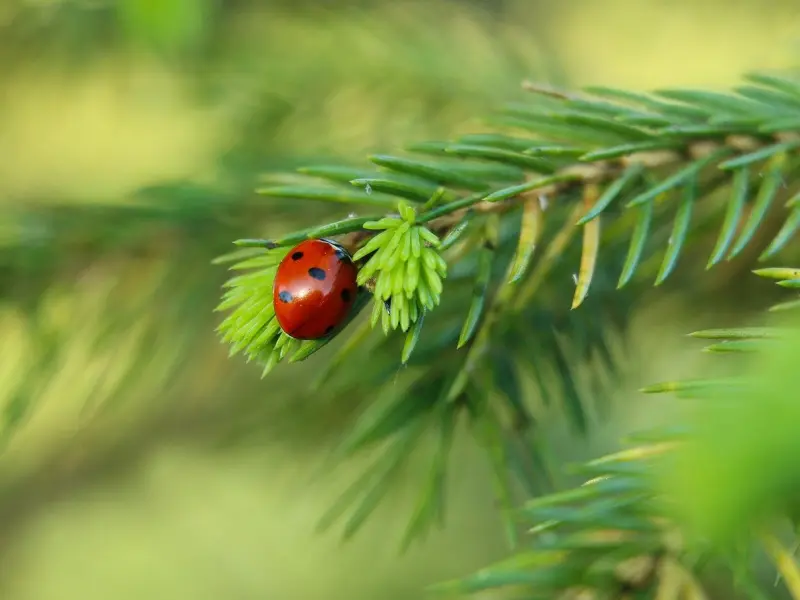 挽回老公攻略：老公提离婚却没有删除你微信，做好三点技能挽回