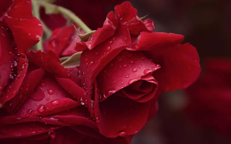 挽回前男友攻略：挽回变心的天蝎男，只需要这三招就能搞定，不用花多大力气