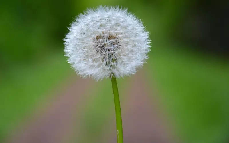 挽回前男友攻略：99%挽回率让狮子男疯狂挽回你