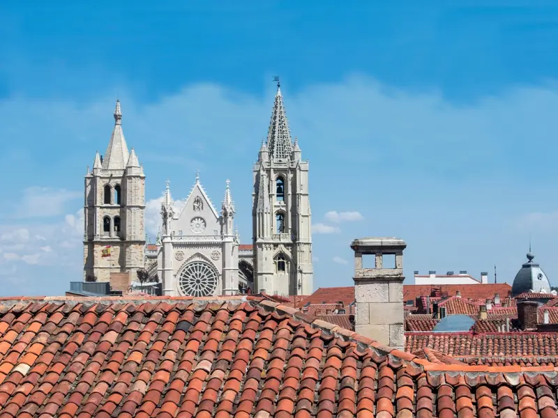 挽回前男友攻略：挽回狮子男的套路