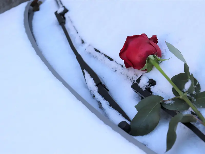 挽回男友攻略：教你如何挽回天蝎前男友