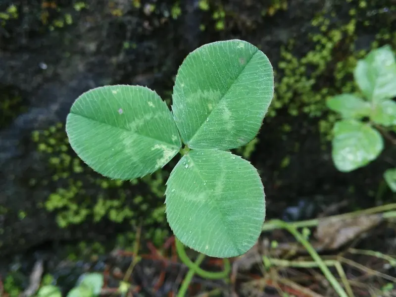 挽回男友攻略：教你如何挽回倔强前男友的心