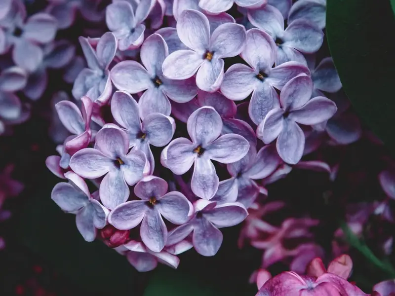 挽回男友攻略：怎么挽留男朋友，你们还有复合的可能吗