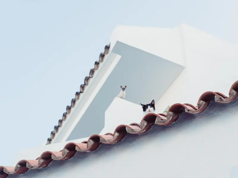 挽回男友攻略：前男友原来可以这样挽回，挽回男友必看攻略