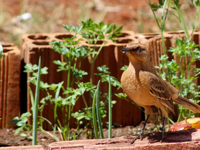 挽回女友攻略：挽回女友你必须知道的3件事