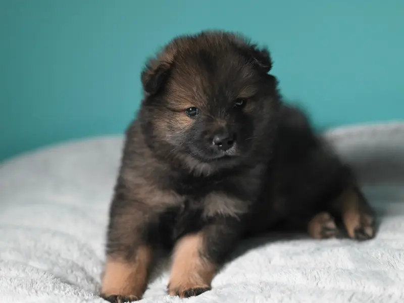 挽回男友攻略：男友对你冷淡？教你分手后的正确处理方式