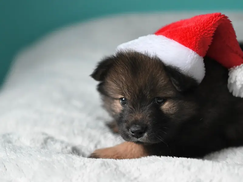 挽回男友攻略：如何挽回对你死心的男朋友，让男友重新爱上你