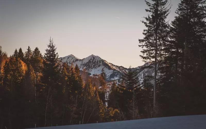 挽回男友攻略：如何在分手初期挽回男友