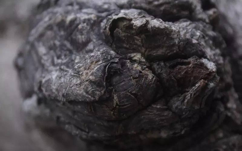 挽回男友攻略：分手了怎么挽回前男友？