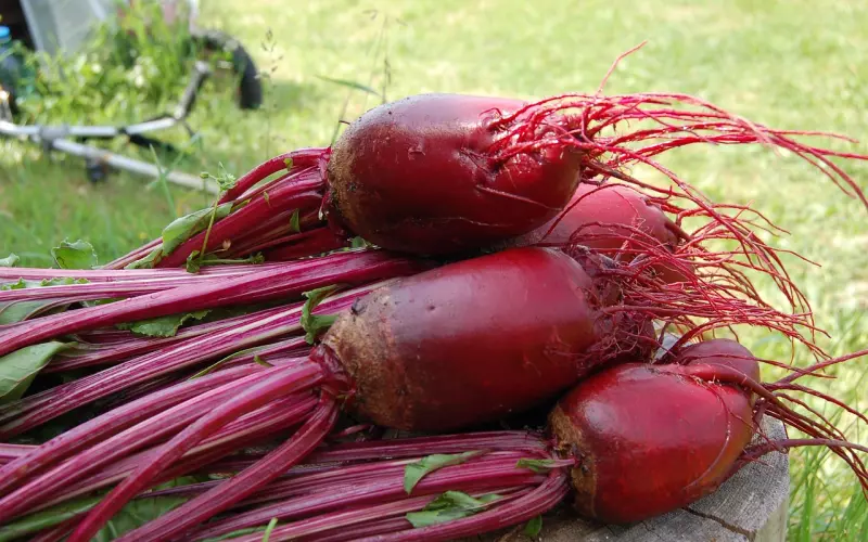 挽回男友攻略：爱情里的不安全感到底从何而来？