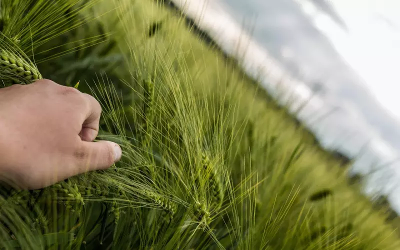 挽回男友攻略：90%情侣分手都是因为这个问题