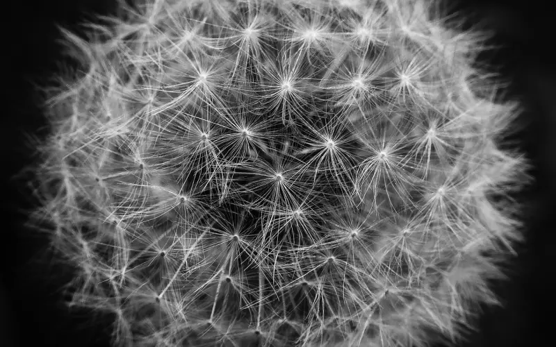 挽回男友攻略：快要结婚的男友微信拉黑我怎么办