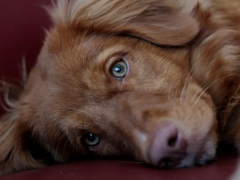 挽回男友攻略：分手复合的三个最佳时期