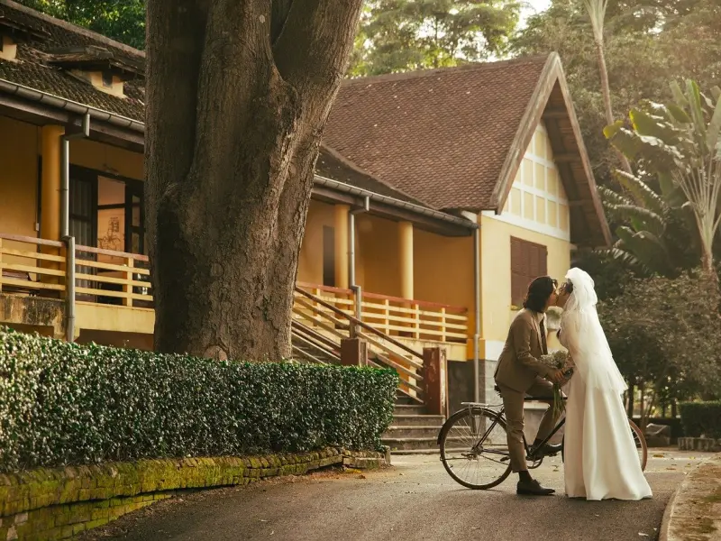 挽回男友攻略：爱情里的不安全感到底从何而来？