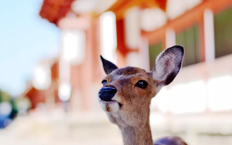 瞬间被戳中！你有讨好型人格吗？