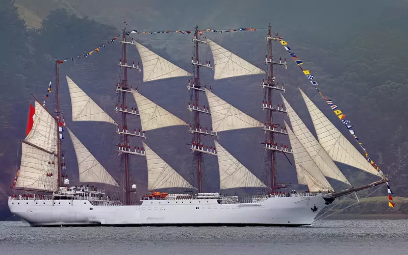 学员成功挽回记录篇