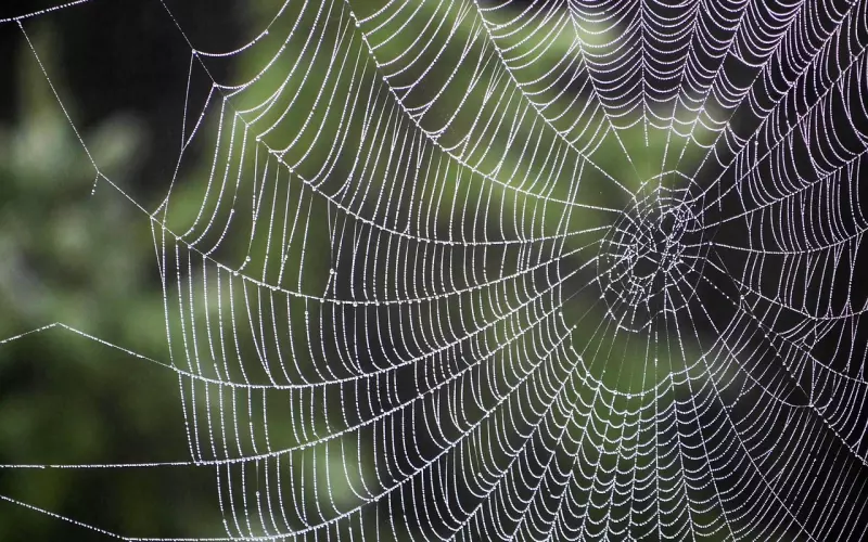 成功案例-老公出轨