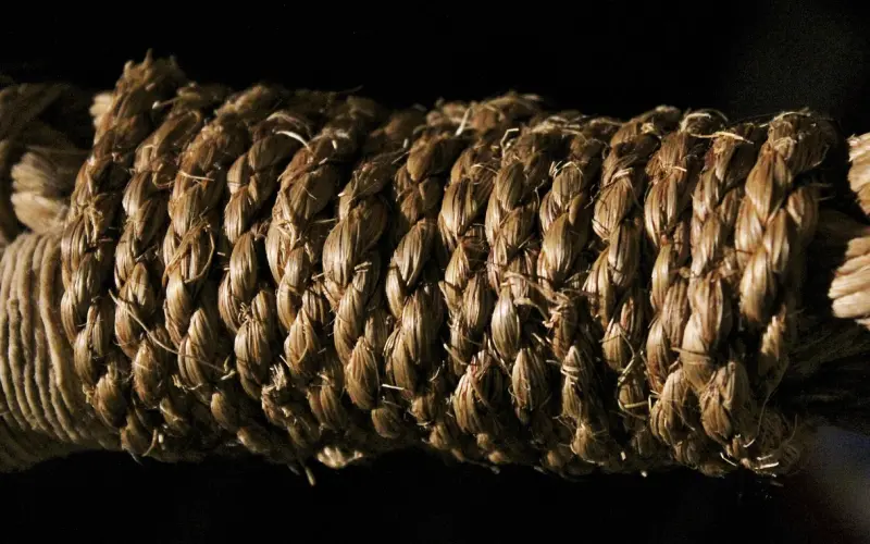 【成功案例】因石结缘，情定一生