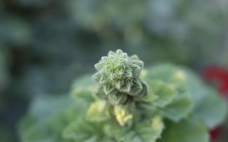 【成功案例】工程女遇上IT男 ：一路行走 一路珍惜