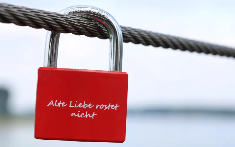 【成功案例】离婚后勇敢爱的他们，再次遇见爱情